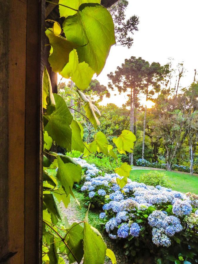 Rancho Do Lucas - Cabana E Chale São Bento do Sul Kültér fotó