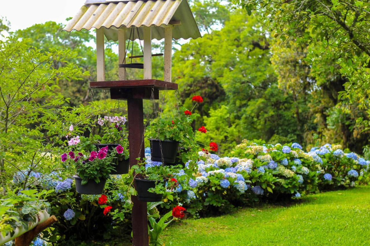 Rancho Do Lucas - Cabana E Chale São Bento do Sul Kültér fotó
