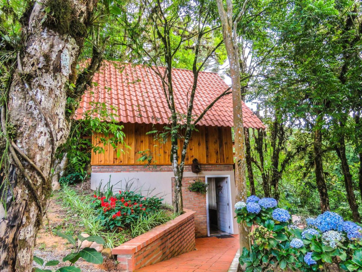 Rancho Do Lucas - Cabana E Chale São Bento do Sul Kültér fotó