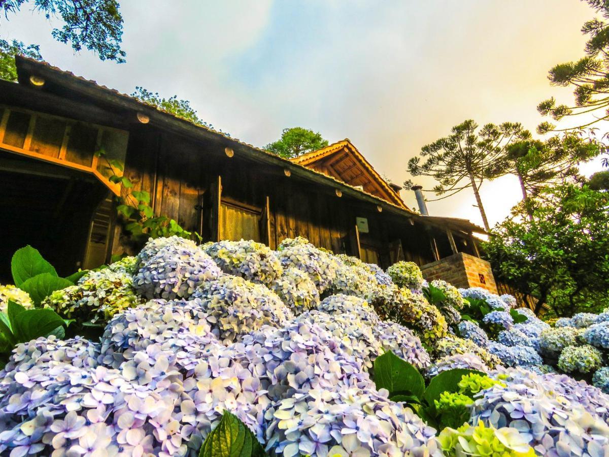 Rancho Do Lucas - Cabana E Chale São Bento do Sul Kültér fotó